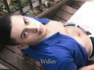 Wdior