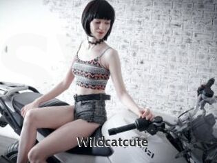 Wildcatcute