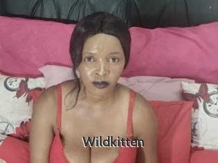 Wildkitten