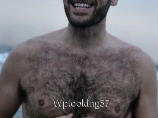 Wplooking37