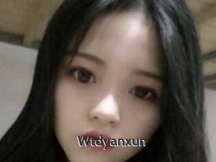 Wtdyanxun