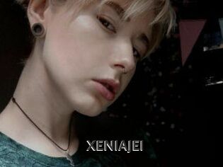 XENIA_JEI