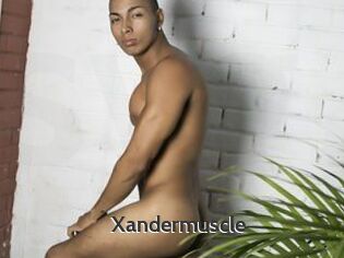 Xandermuscle