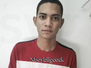 Xboybiigcock