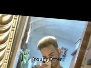 YoungOtter