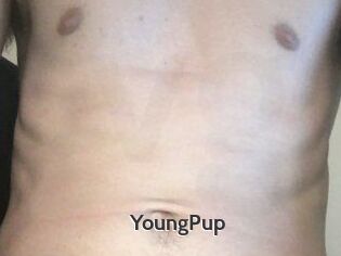 YoungPup