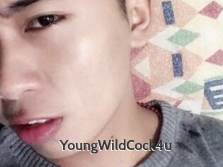 YoungWildCock4u