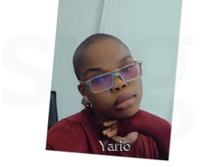 Yario
