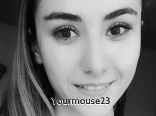 Yourmouse23