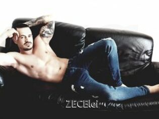 ZECElei