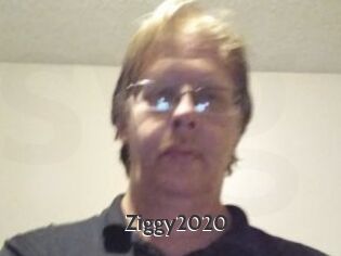Ziggy2020