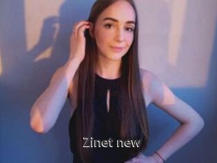 Zinet_new