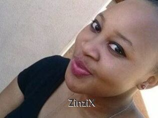 ZinziX