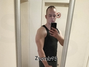 Zsomb95